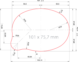 Платинка размером 101х75,7 мм